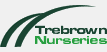Trebrown Nurseries